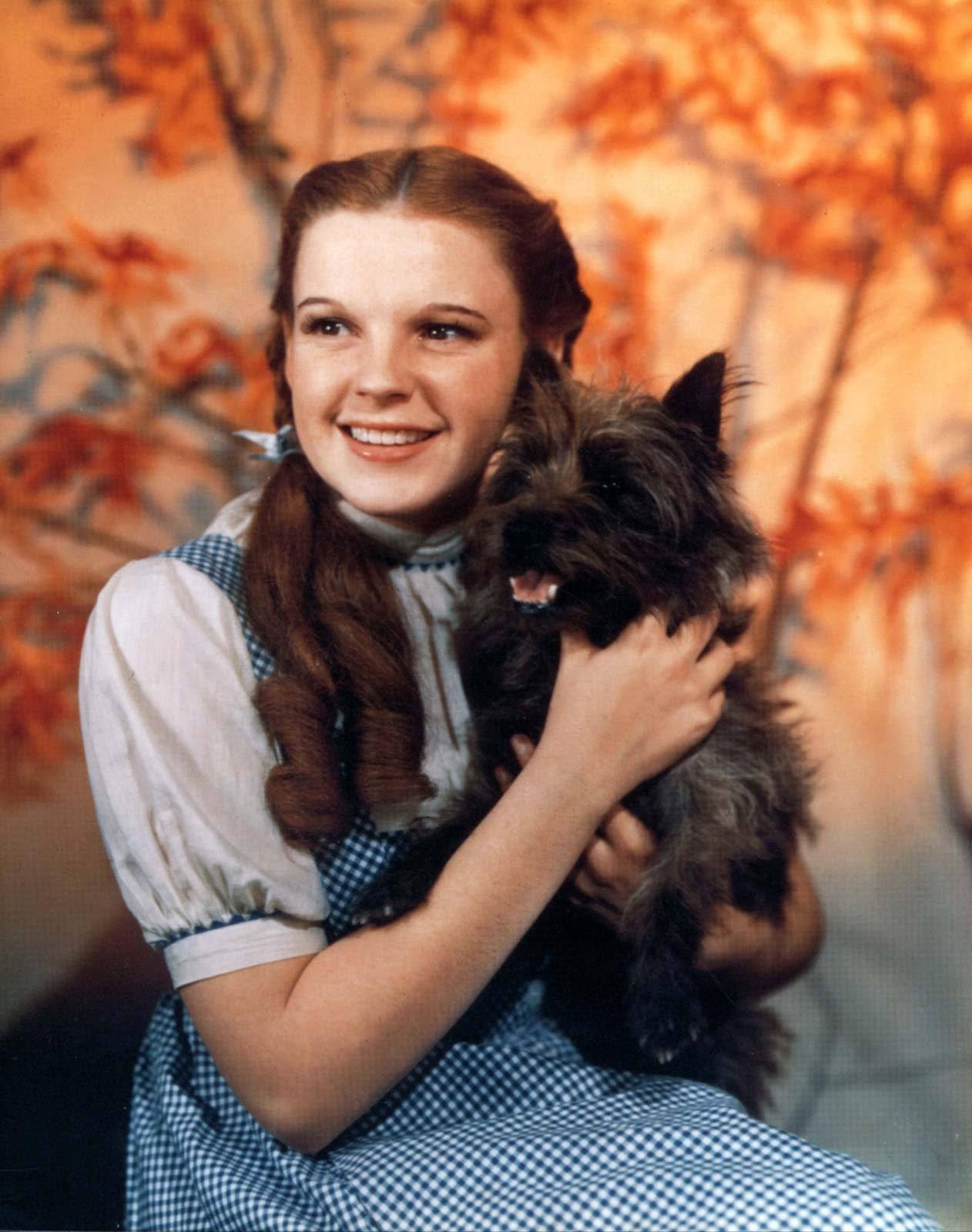 Terry, a female brindle Cairn Terrier, played Toto in the original <em>The Wizard of Oz</em> film. She was paid $125 each week, more than some human actors in the film.