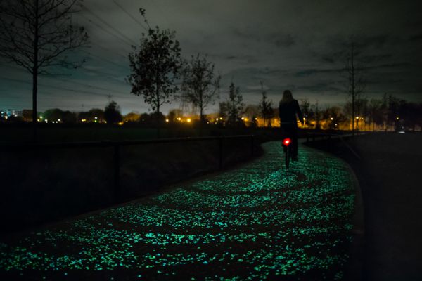 Van Gogh Bicycle Path