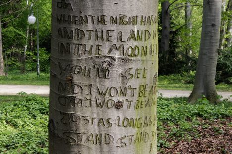 The 'Stand By Me' Tree.