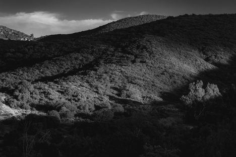 Elfin Forest