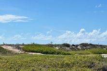 The Aruba Pet Cemetery