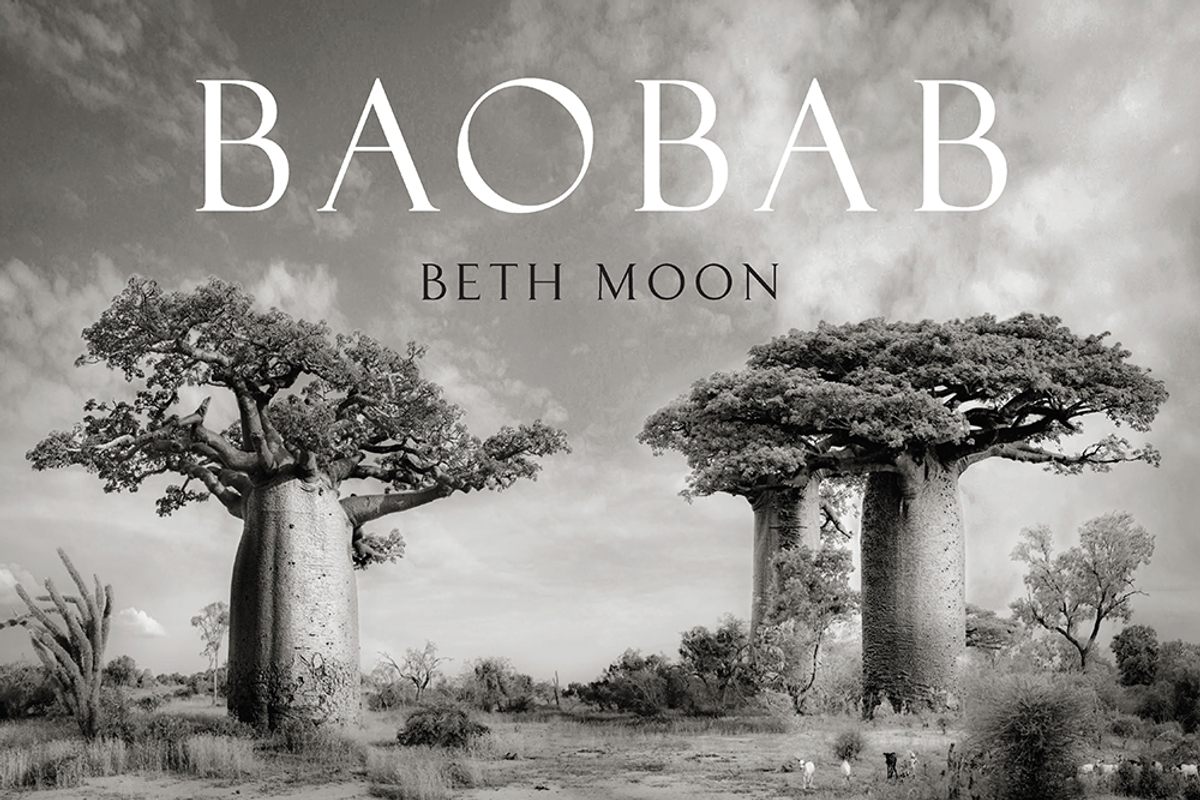 <em>Baobab</em> by Beth Moon, published by Abbeville Press.