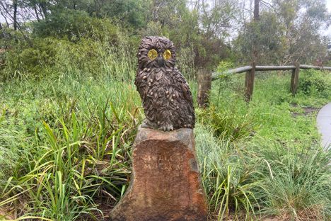 Mullum Mullum the Owl