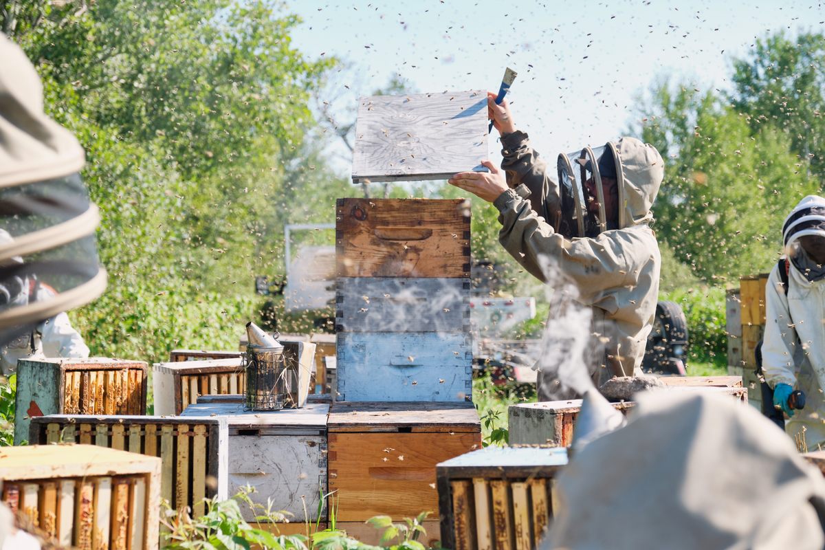 Proudly Canadian - Beekeepers Naturals - London Drugs Blog