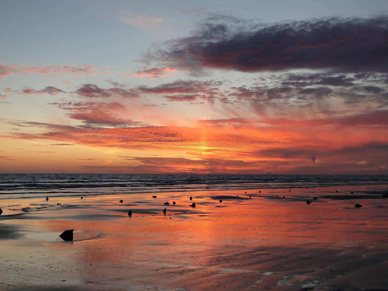 The submerged forest in Borth, Wales.
