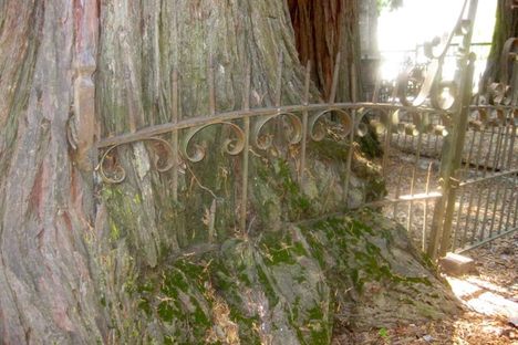 Old St. Patrick's Cemetery
