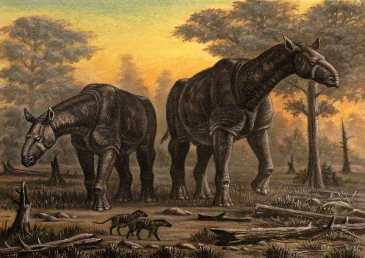 <em>Paraceratherium</em> is often described as the largest land mammal ever to have lived.