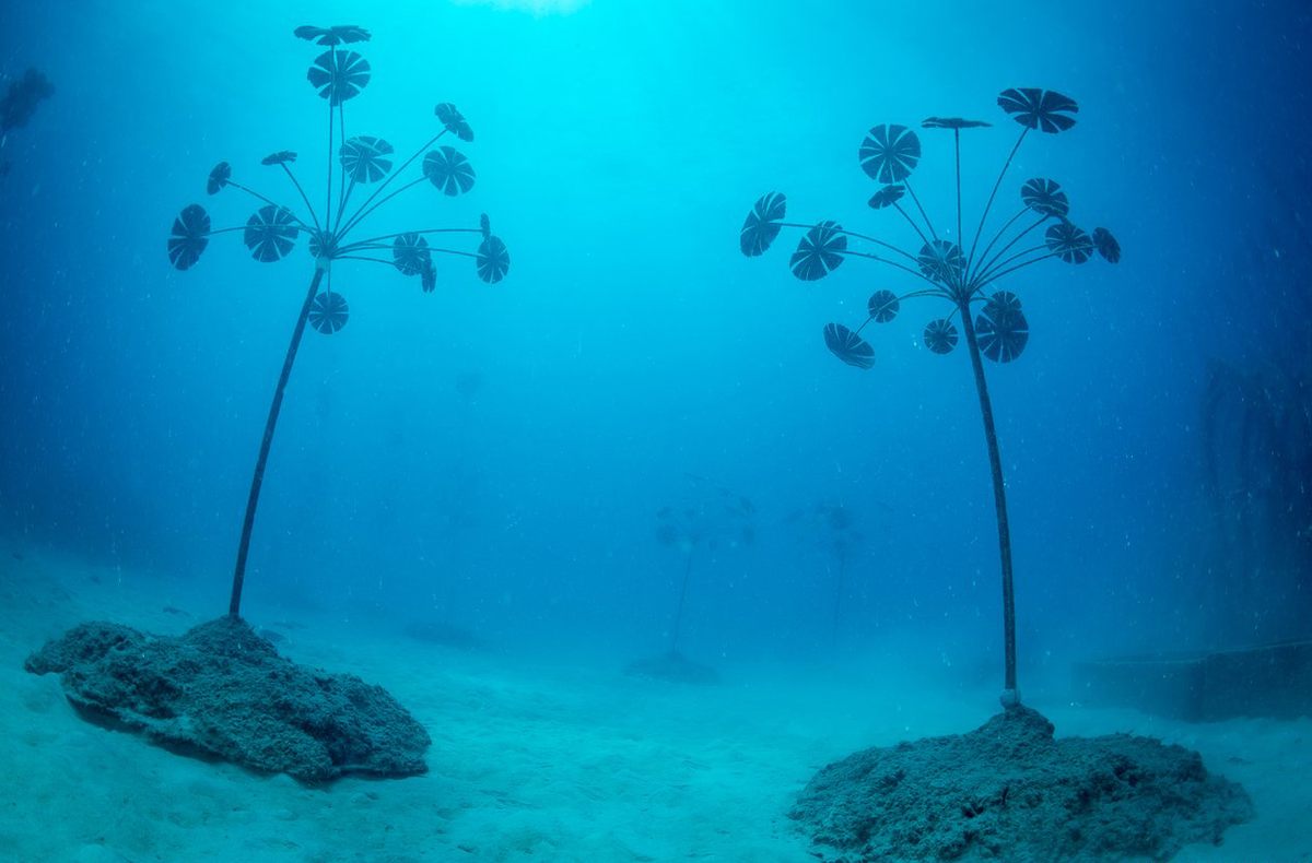 The "Coral Greenhouse" section of the museum was scheduled to open in April, but delayed due to the global pandemic.