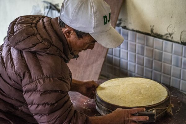 Nima Tamang molds a hefty wheel of yak cheese.