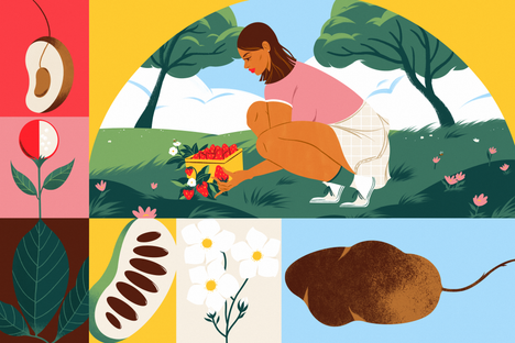 When foraging, never take the first or last of something, and always share what you gather.