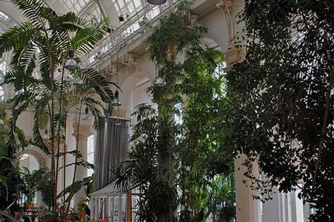 Palmenhaus 