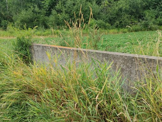 A piece of rectangular concrete emerges from tall grasses in a field