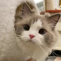 Profile image for qpid
