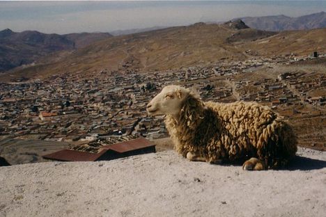 Our World Heritage in Peril