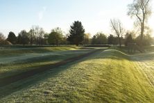 The walls of the Octagon Earthworks in Heath, Ohio, form an enclosure large enough to fit four Roman Colosseums.