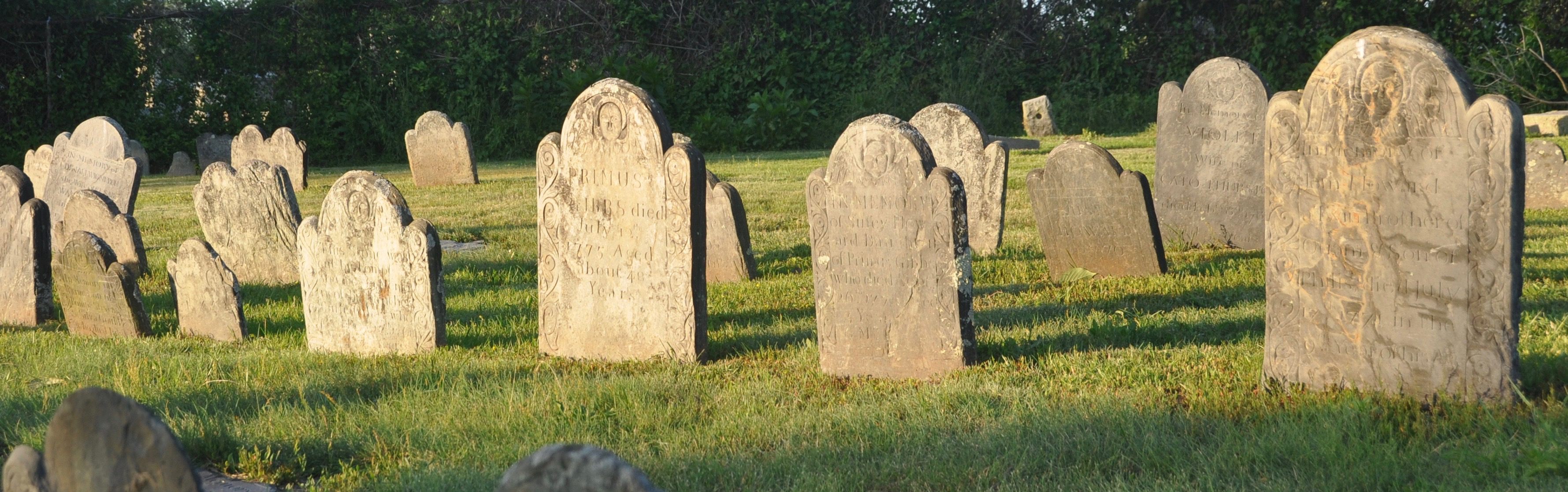 The extended Stevens/Gibbs/Howard Family plot.