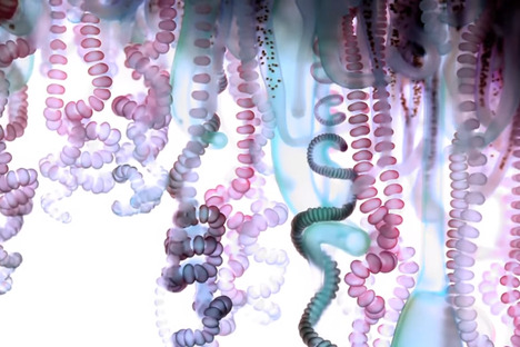 Watch Amazing Tiny Sea Creatures Light Up and Dance