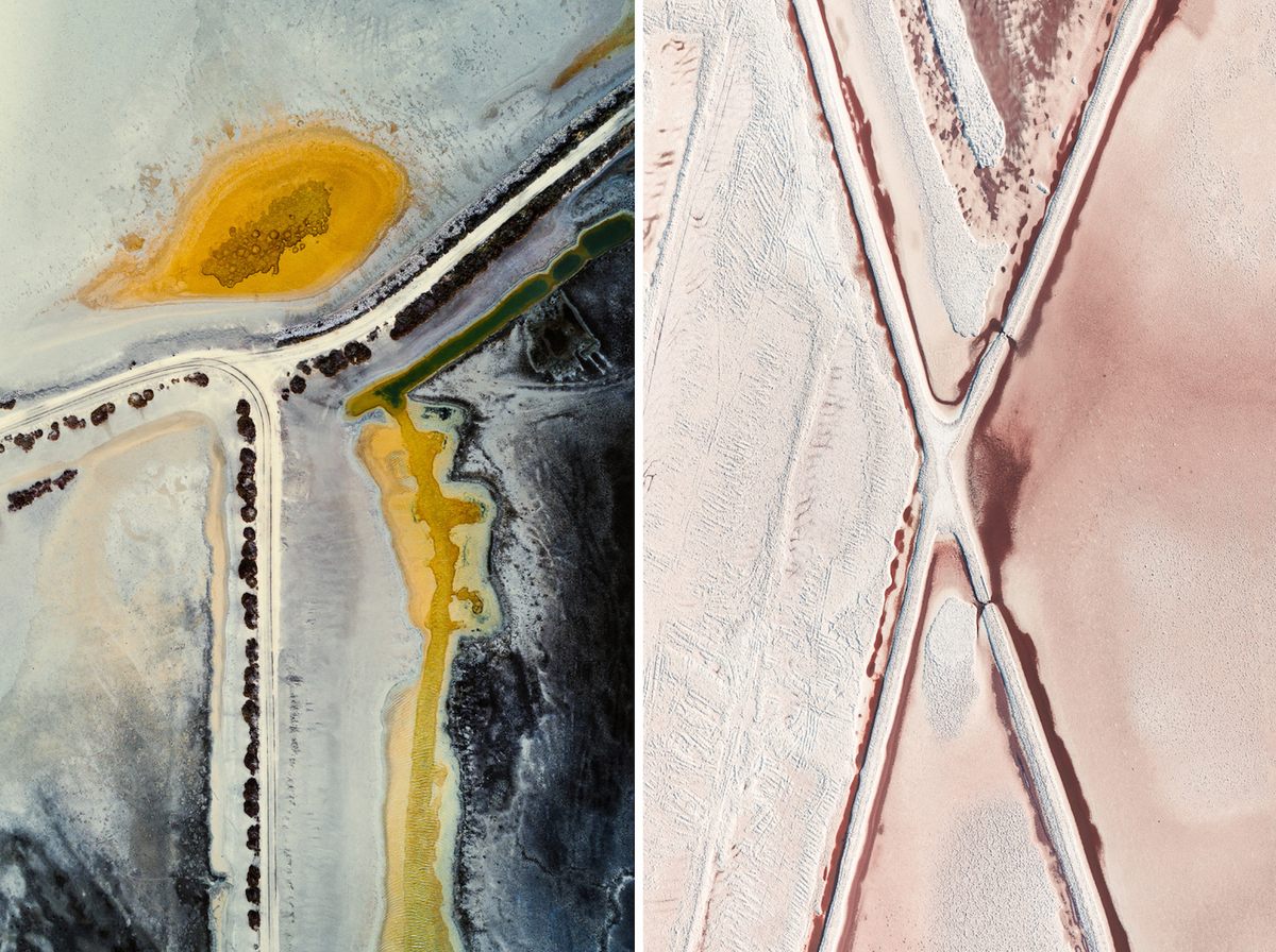 Much of Hegen's work is focused on how human activities have impacted the natural world.