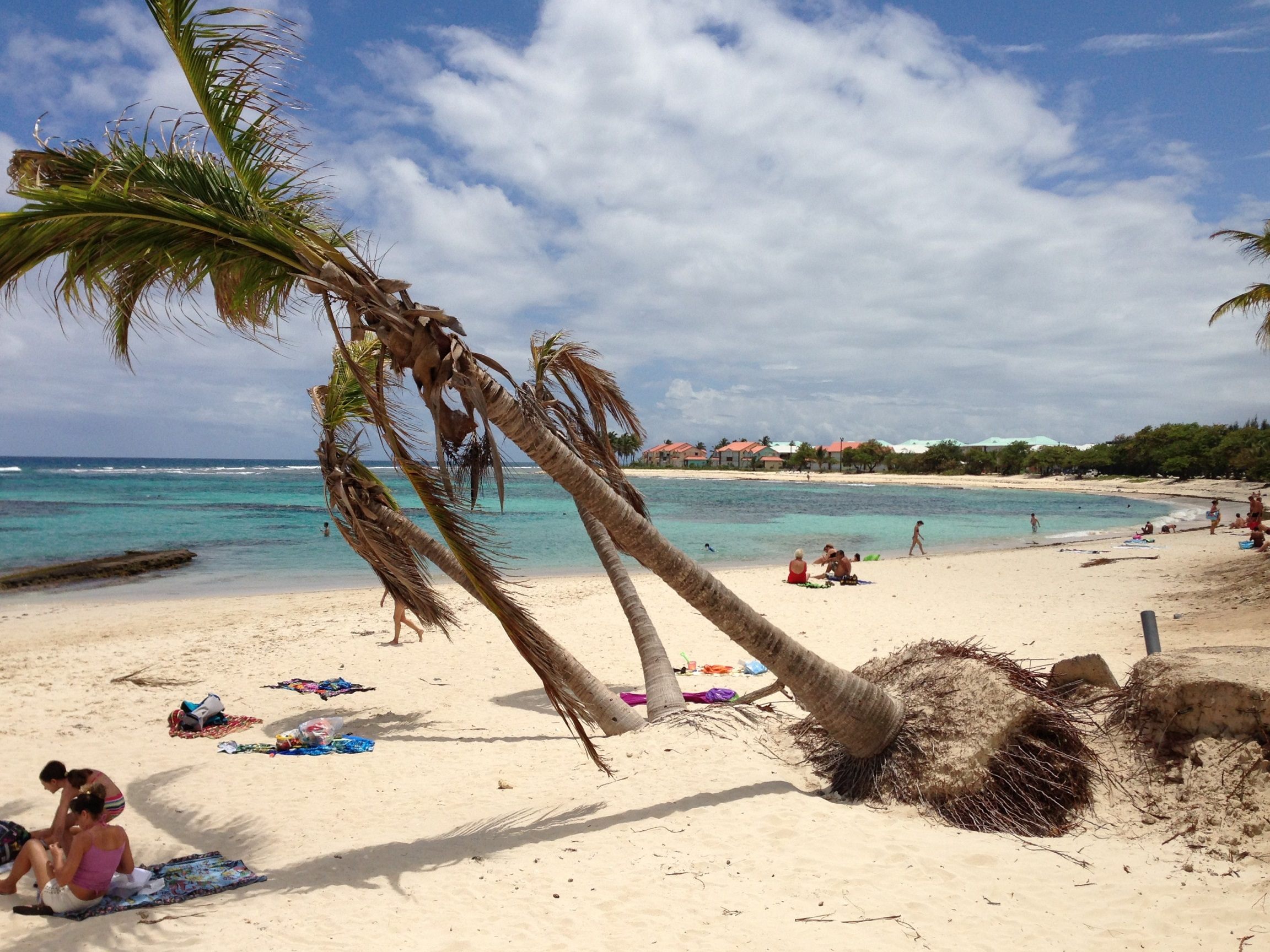 Raisins Clairs Beach in Saint François, Guadeloupe.