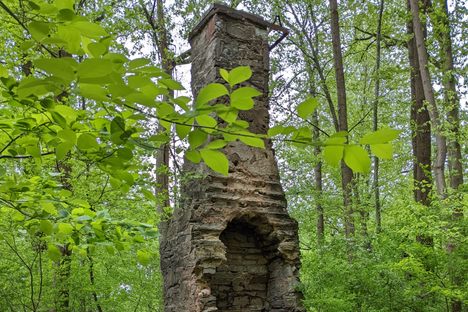 Burling Cabin Ruins.
