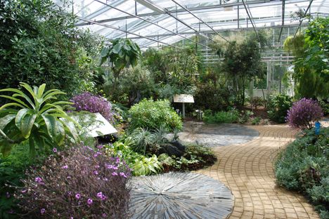 Inside one of the tropical greenhouses.