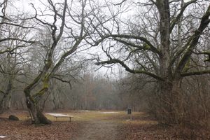 Photo of Estonia
