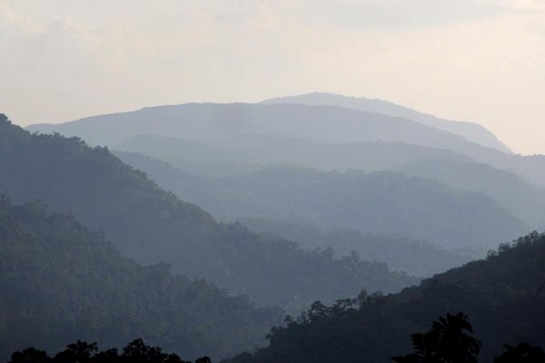 The jungle highlands of Sri Lanka, where humans settled at least 45,000 years ago.