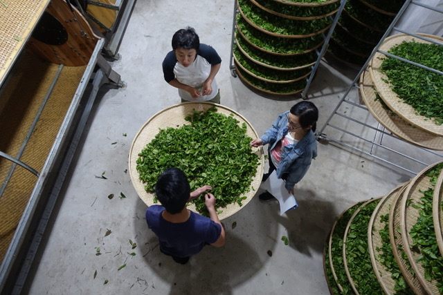 Teng often stays with tea makers to learn about the production of each variety.