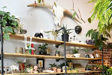 The Terrorium Shop