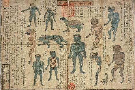 Illustrations of the 12 different types of Kappa, a water spirit who is sometimes known to haunt outhouses, from the 19th century.  
