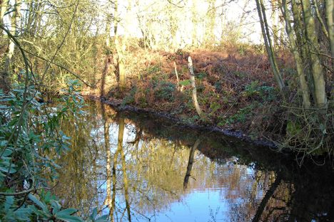 The moat.