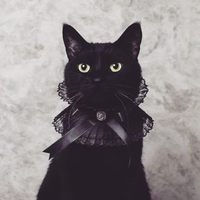 Profile image for dawnjohnston25