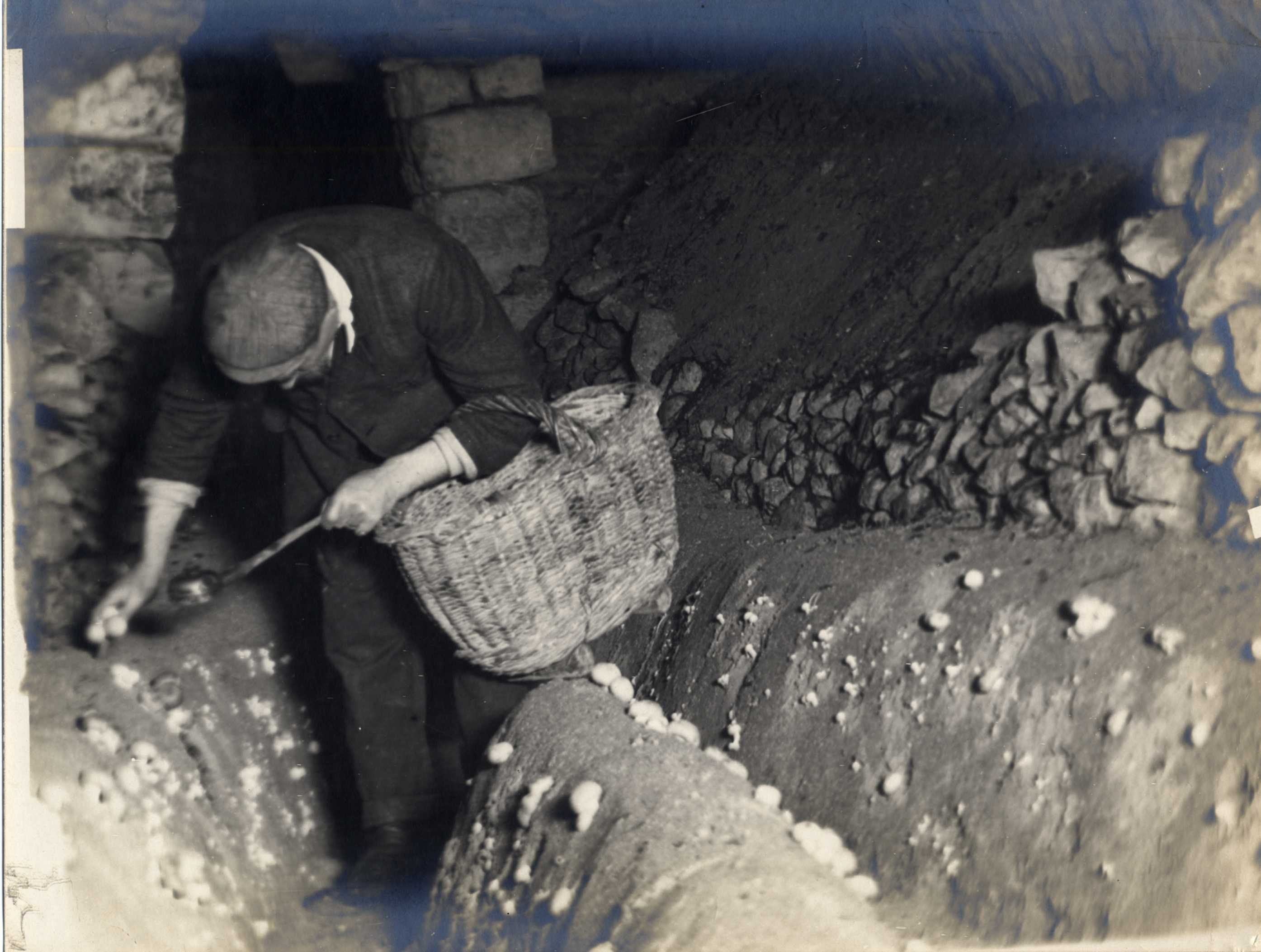 A worker with a basket and a small, hand-held light.