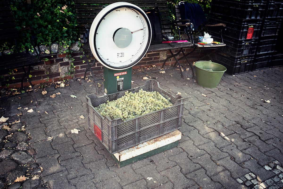 Each crate is weighed before being loaded on the truck. 