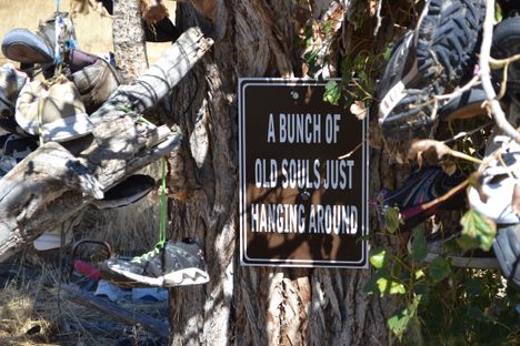Mitchell Shoe Tree