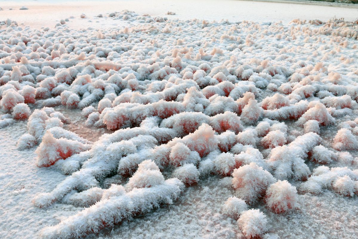 Those crystals aren't ice—they're mirabilite, also called "Glauber's Salt."