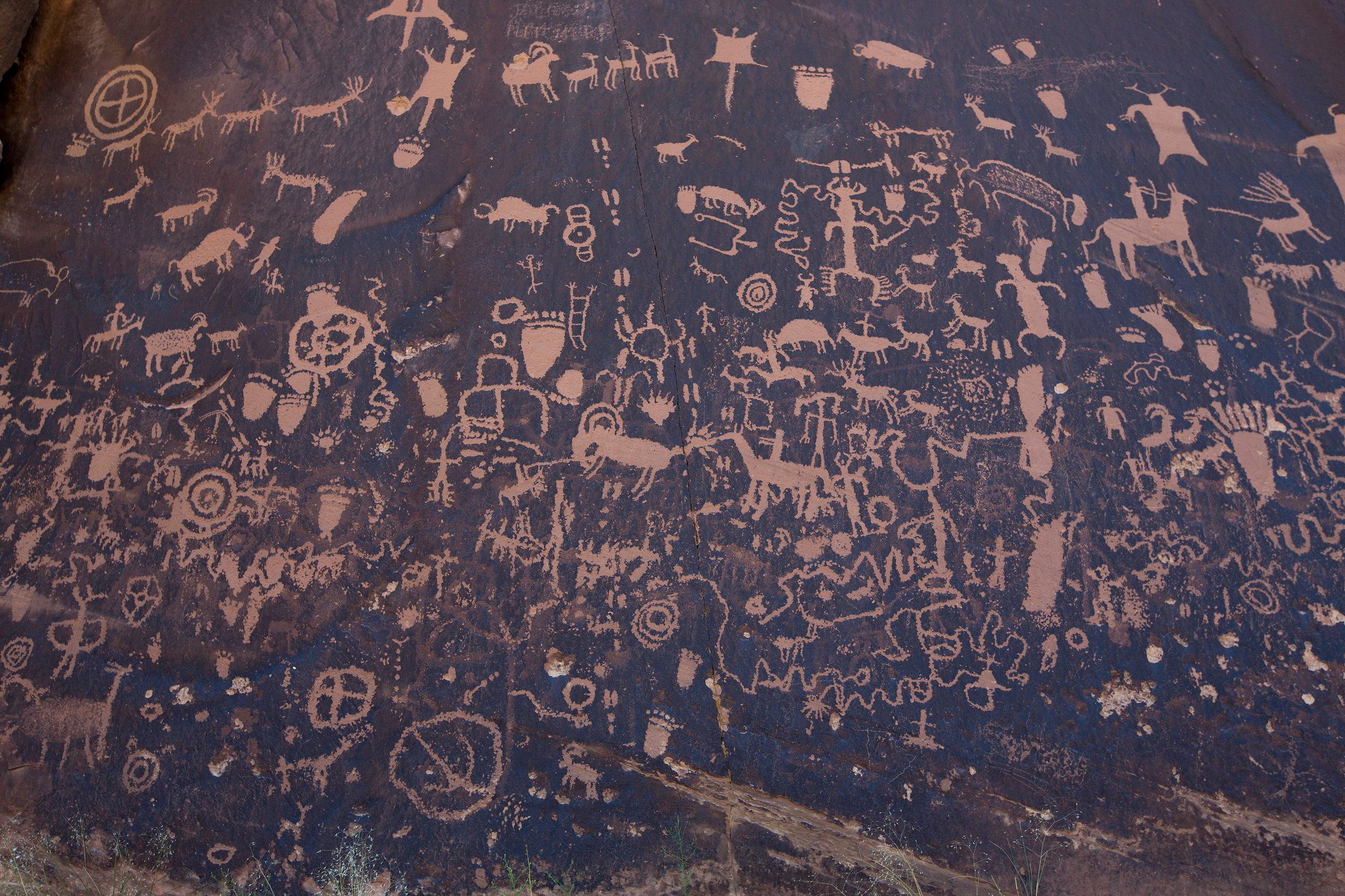 Petroglyphs found in the Indian Creek area.