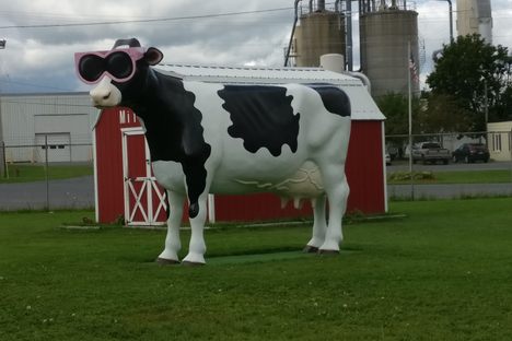 Lady LeWinDa Milkzalot