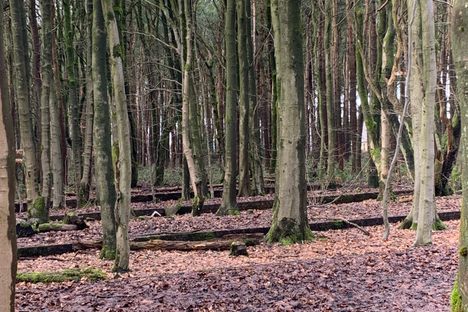 Lodge Moor POW Camp Ruins
