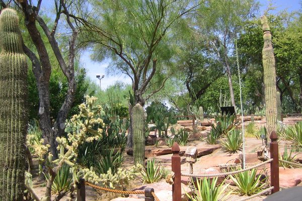 Ethel M Cactus Botanical Garden.