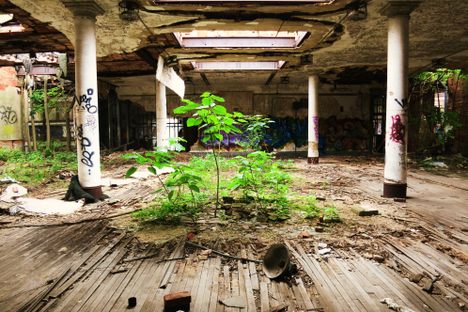 An Education in Decay: Inside a Decrepit Elementary School in Harlem