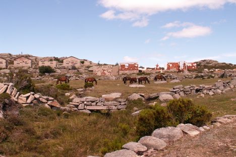Wild horses grazing on the abandoned complex