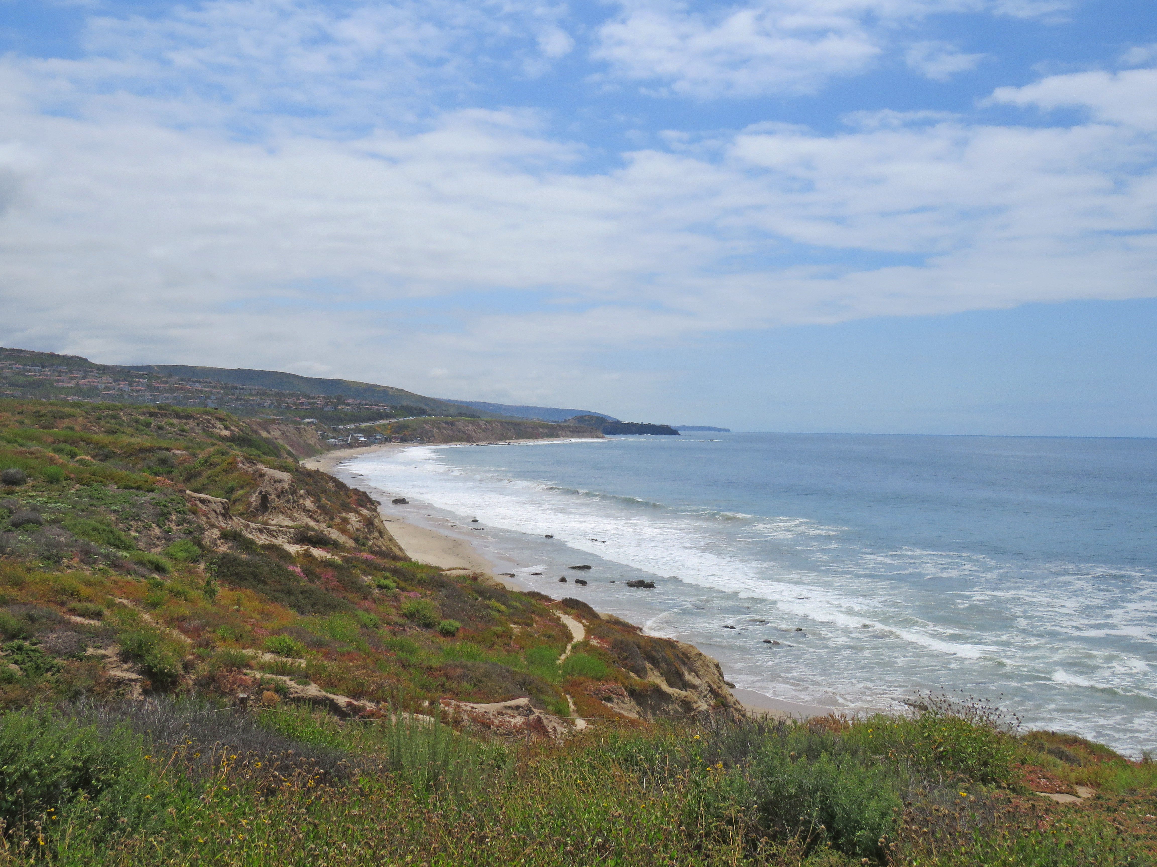 The deep-sea fish washed up on the shore of Crystal Cove State Park in Southern California.