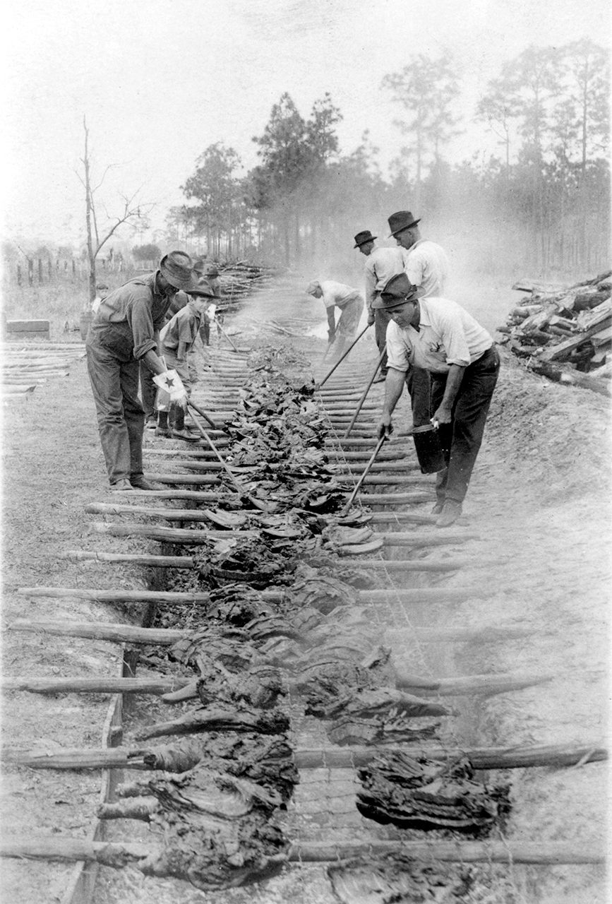 The Tin Can Tourists sought to form a community at the campground. What better way to do that than through communal cooking? Here, volunteer cooks at a convention in Arcadia, Florida, circa mid-1920s, labor over meats on a dugout pit cooker.