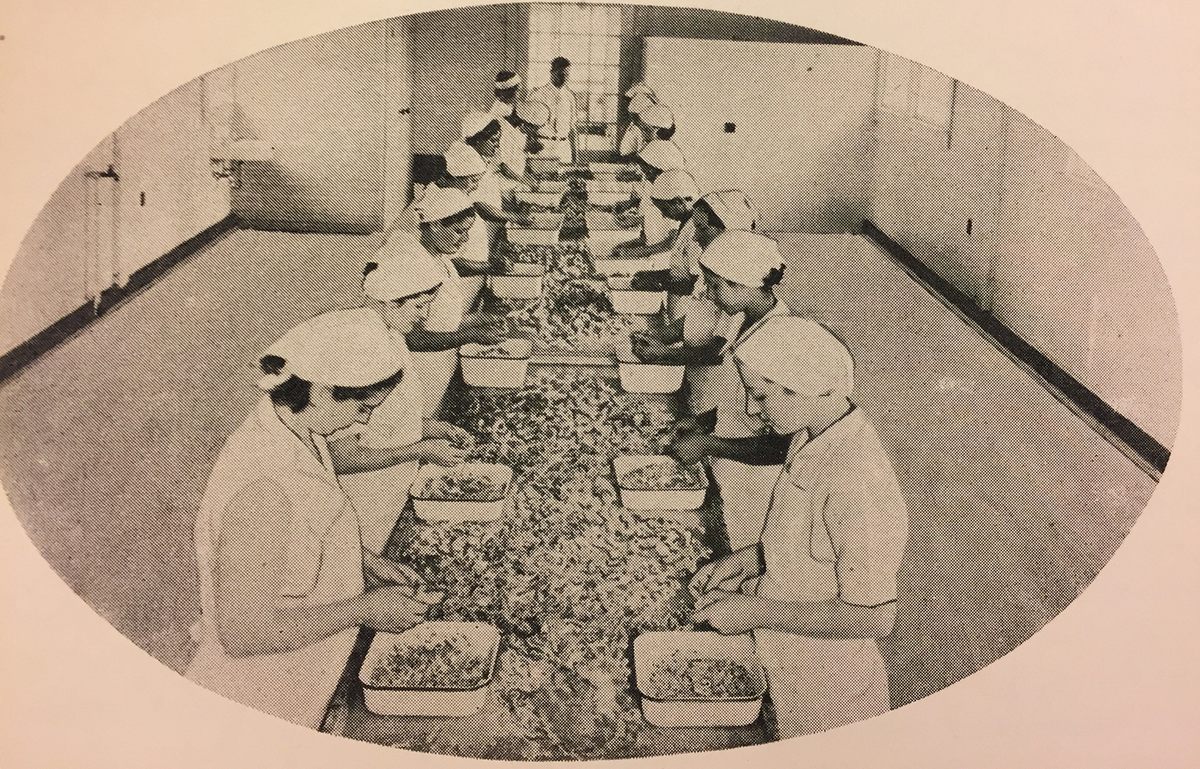 Workers picking frogs at the canning factory.