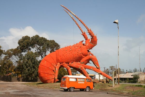 Larry the Lobster - and an idea of his scale (size & color)
