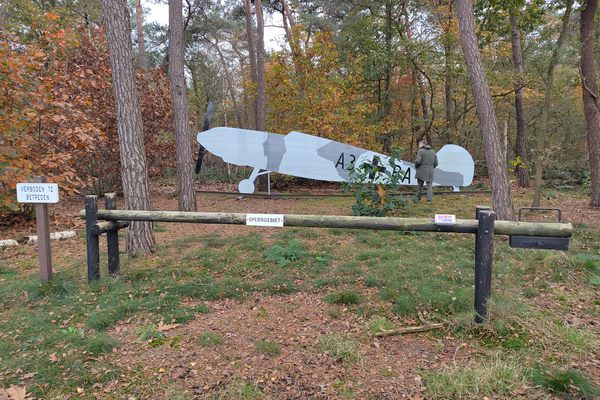 Wooden airplane in the woods.