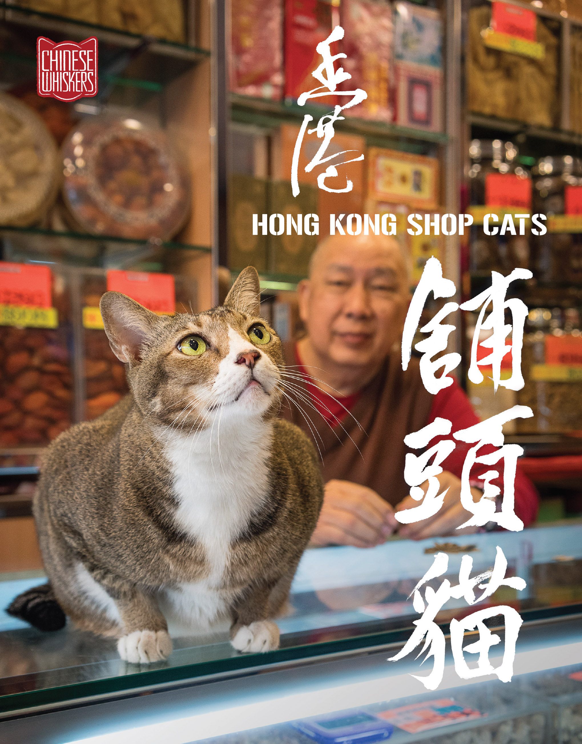 The cover for <em>Hong Kong Shop Cats</em>.