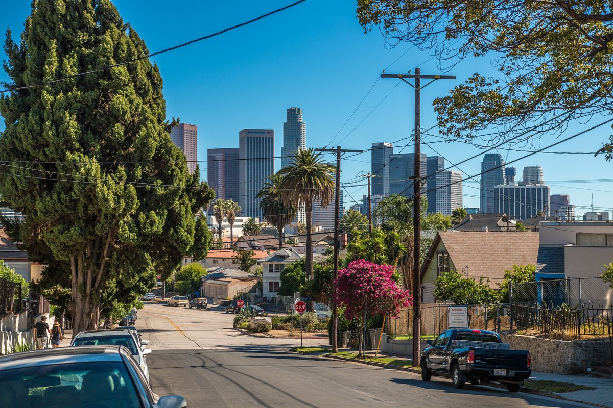 It's not easy to be a lizard in L.A.