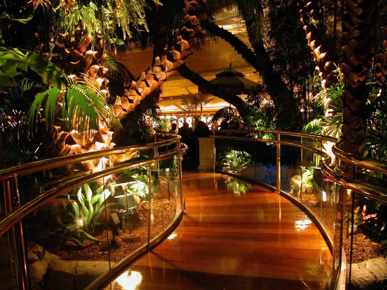 Rainforest Cafe - Take a WILD guess at this Rainforest Cafe's location!